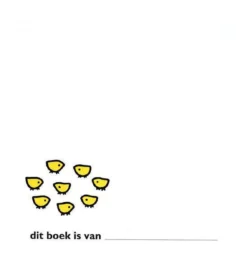 Nijntje Kleine Pluis -Babyproducten Winkel 1137x1200 7