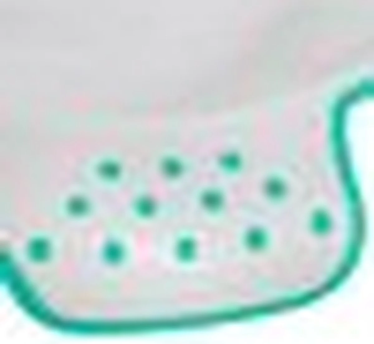 Keeeper Peppa Pig Toiletverkleiner - Licht Grijs 9 Keeeper Peppa Pig Toiletverkleiner - Licht Grijs - Afbeelding 9