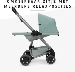 Quinny Zapp Flex Plus Buggy - Frost On Grey -Babyproducten Winkel 1200x1150 13