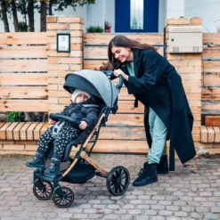 MoMi Wandelwagen - Compacte Lichtgewicht Buggy - Estelle Dakar Met XXL Wielen & Zonnekap - Leopard - Grijs-Goud (geschikt Van 6mnd - 22kg) 29 MoMi Wandelwagen - Compacte Lichtgewicht Buggy - Estelle Dakar Met XXL Wielen & Zonnekap - Leopard - Grijs-Goud (geschikt Van 6mnd - 22kg) -Babyproducten Winkel 1200x1200 1693