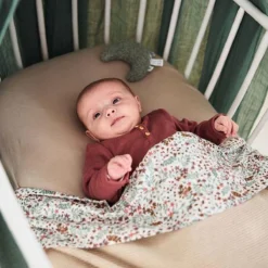 Jollein Rammelaar Moon - Ash Green 21 Jollein Rammelaar Moon - Ash Green -Babyproducten Winkel 1200x1200 2105