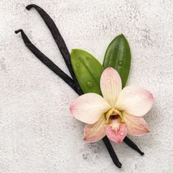 Disney Frozen Frozen Ll - Geurset - Parfum 50ml + Douche Gel 100ml - Cadeautip! -Babyproducten Winkel 1200x1200 655