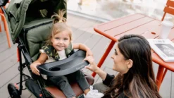 Lionelo Emma Plus - Buggy - Lichte - 5-punts Gordel - Tot 15kg 22 Lionelo Emma Plus - Buggy - Lichte - 5-punts Gordel - Tot 15kg -Babyproducten Winkel 1200x675 18