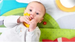 Tiny Love Supermat Speelmat - Meadow Days -Babyproducten Winkel 1200x678 4