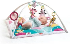 Tiny Love Deluxe Babygym - Princess Tales - Roze -Babyproducten Winkel 1200x759 5