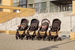 Momi Estelle Pink Wandelwagen WOSP00004 38 Momi Estelle Pink Wandelwagen WOSP00004 -Babyproducten Winkel 1200x800 210