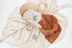 Jollein Rammelaar Moon - Ash Green 19 Jollein Rammelaar Moon - Ash Green -Babyproducten Winkel 1200x800 262