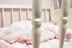 Meyco Clouds/Dots/Feathers Starterset - 9-pack - Hydrofiel - Pink -Babyproducten Winkel 1200x800 54