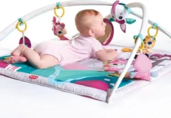 Tiny Love Deluxe Babygym - Princess Tales - Roze -Babyproducten Winkel 1200x831 3