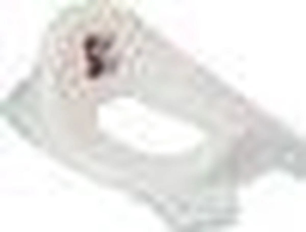 Keeeper Frozen WC Verkleiner - Wit 10 Keeeper Frozen WC Verkleiner - Wit - Afbeelding 10