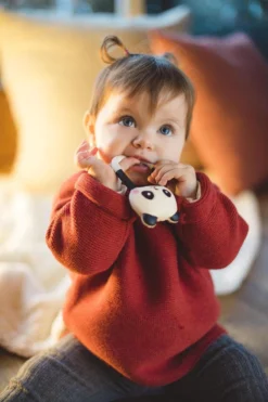 Lanco Rubberen Bijtring - Kori De Panda - Zwart - Wit 6 Lanco Rubberen Bijtring - Kori De Panda - Zwart - Wit -Babyproducten Winkel 800x1200 234