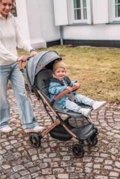 MoMi Wandelwagen - Compacte Lichtgewicht Buggy - Estelle - Gray-Gold (geschikt Van 6mnd - 15kg) 33 MoMi Wandelwagen - Compacte Lichtgewicht Buggy - Estelle - Gray-Gold (geschikt Van 6mnd - 15kg) -Babyproducten Winkel 801x1200 46