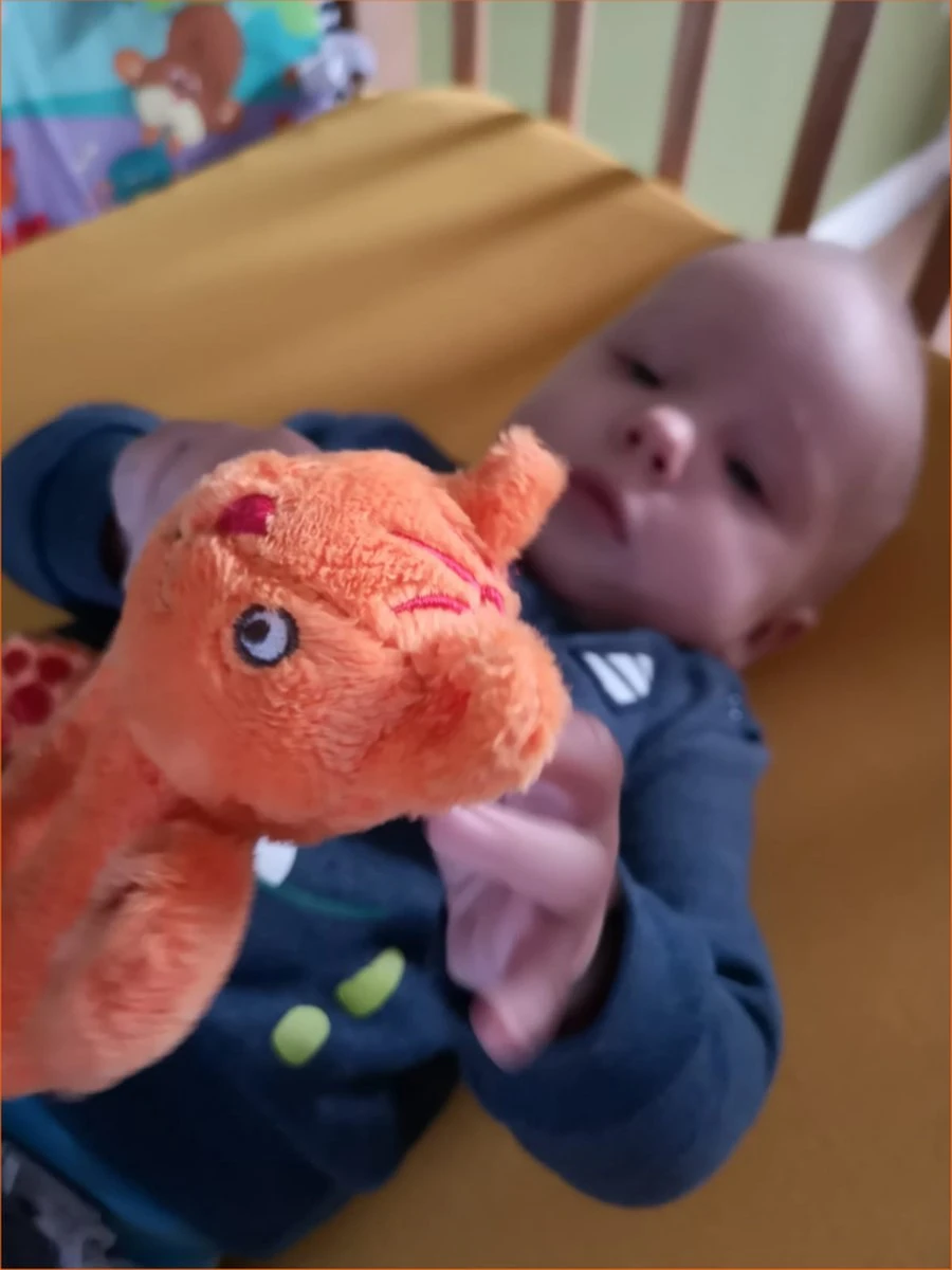 Happy Horse Dikkie Dik Knuffeldoekje - Oranje - Baby Cadeau 2 Happy Horse Dikkie Dik Knuffeldoekje - Oranje - Baby Cadeau - Afbeelding 2